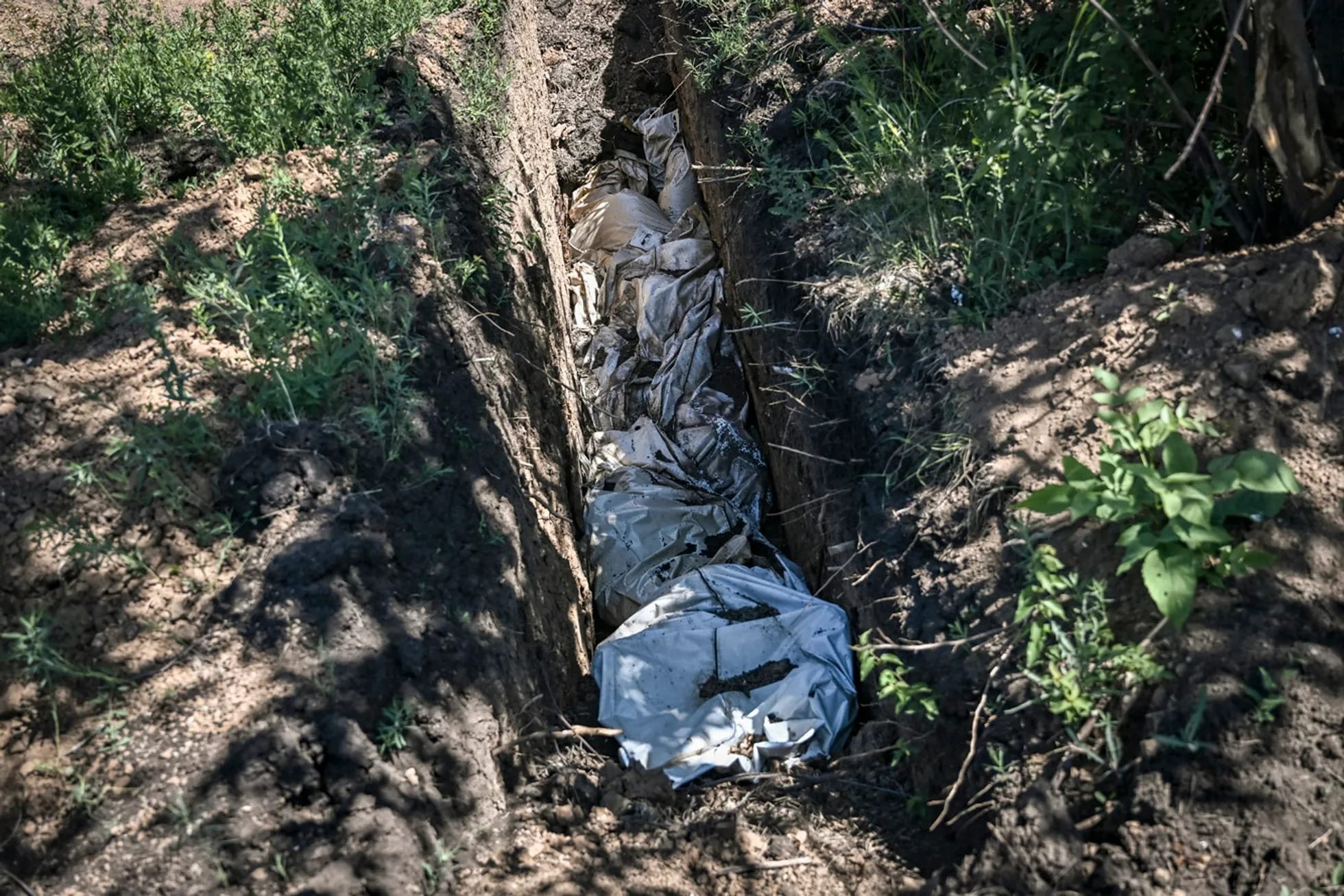 Нацполиция Украины расследует более 12 тысяч дел о гибели мирных жителей, 1200 тел еще не идентифицированы