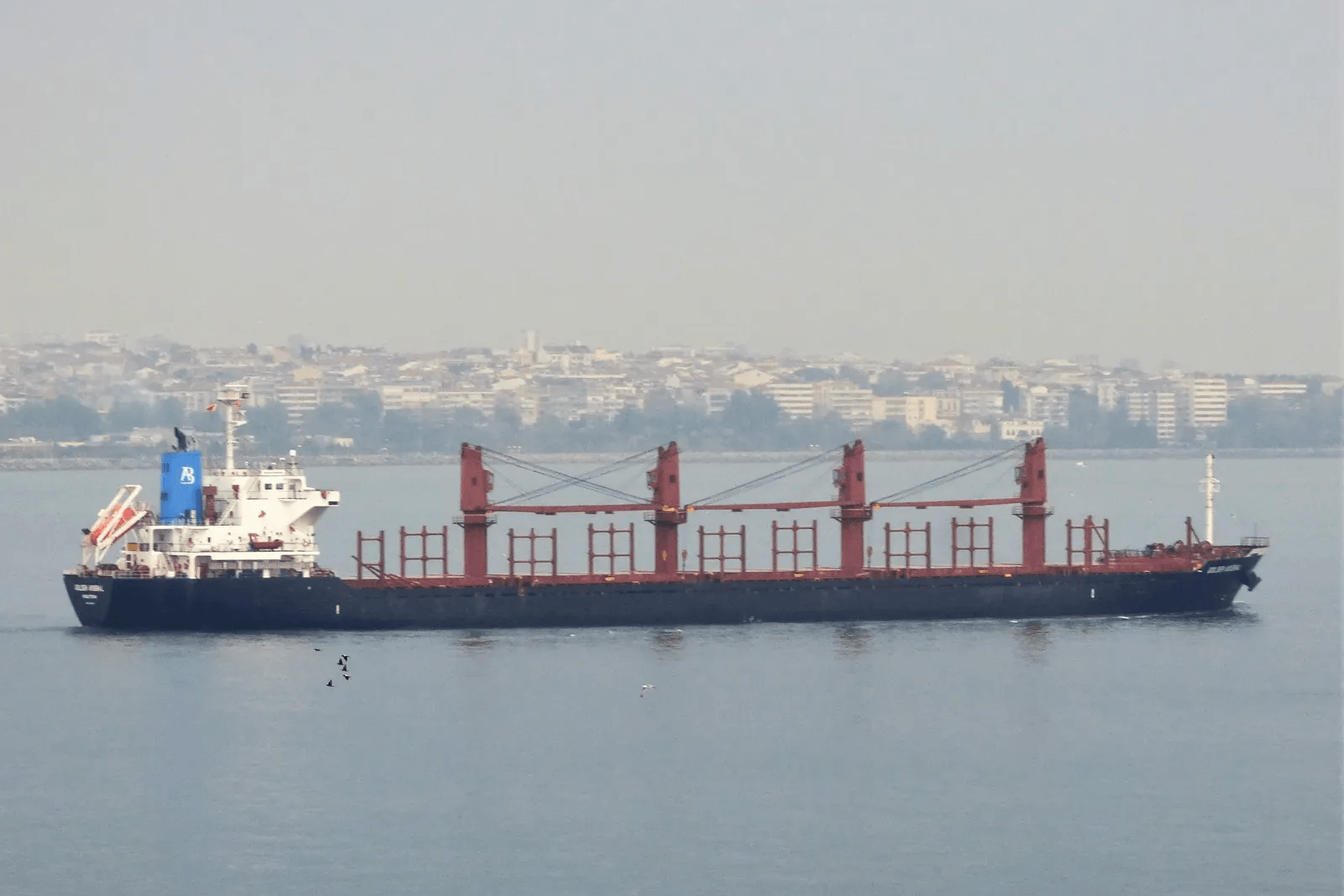 Судно GOLDEN ARSENAL. Фото: MarineTraffic